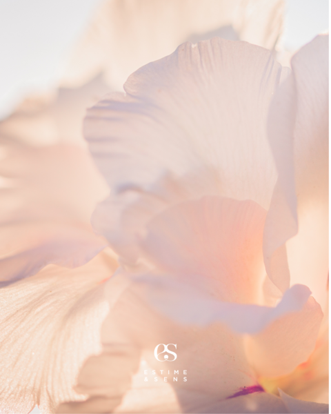  MASSAGE SHIROCHAMPI 45min