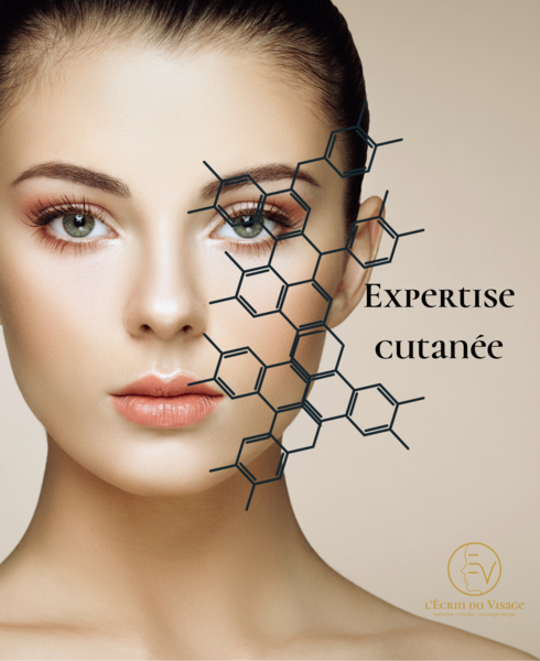 Premier soin expertise cutanée ( Diagnostic +soin visage ) 2h 