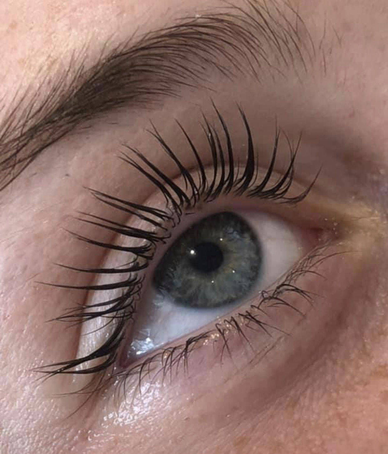 LVL Lashes