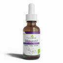 Macérat de Bourgeons Bio Dépuratif Form'Vital