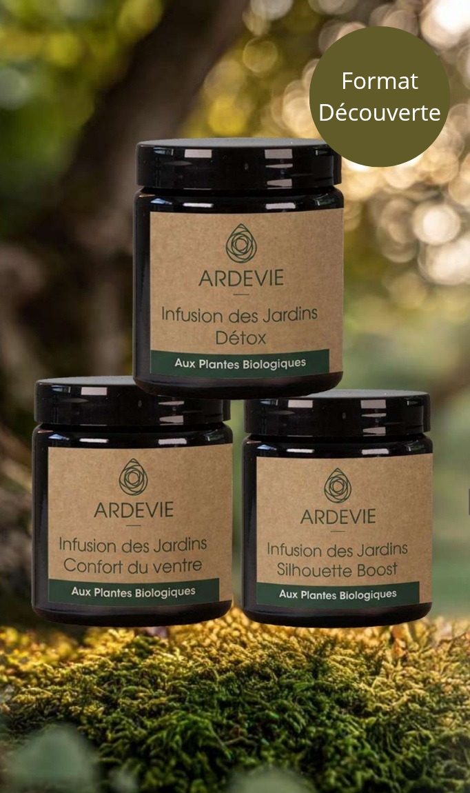TRIO INFUSIONS - Détox, Confort du Ventre & Silhouette Boost