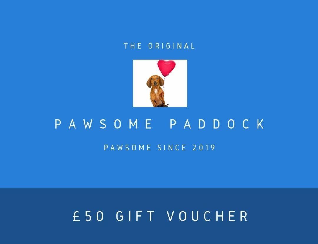 Pawsome Present