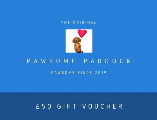 Pawsome Present
