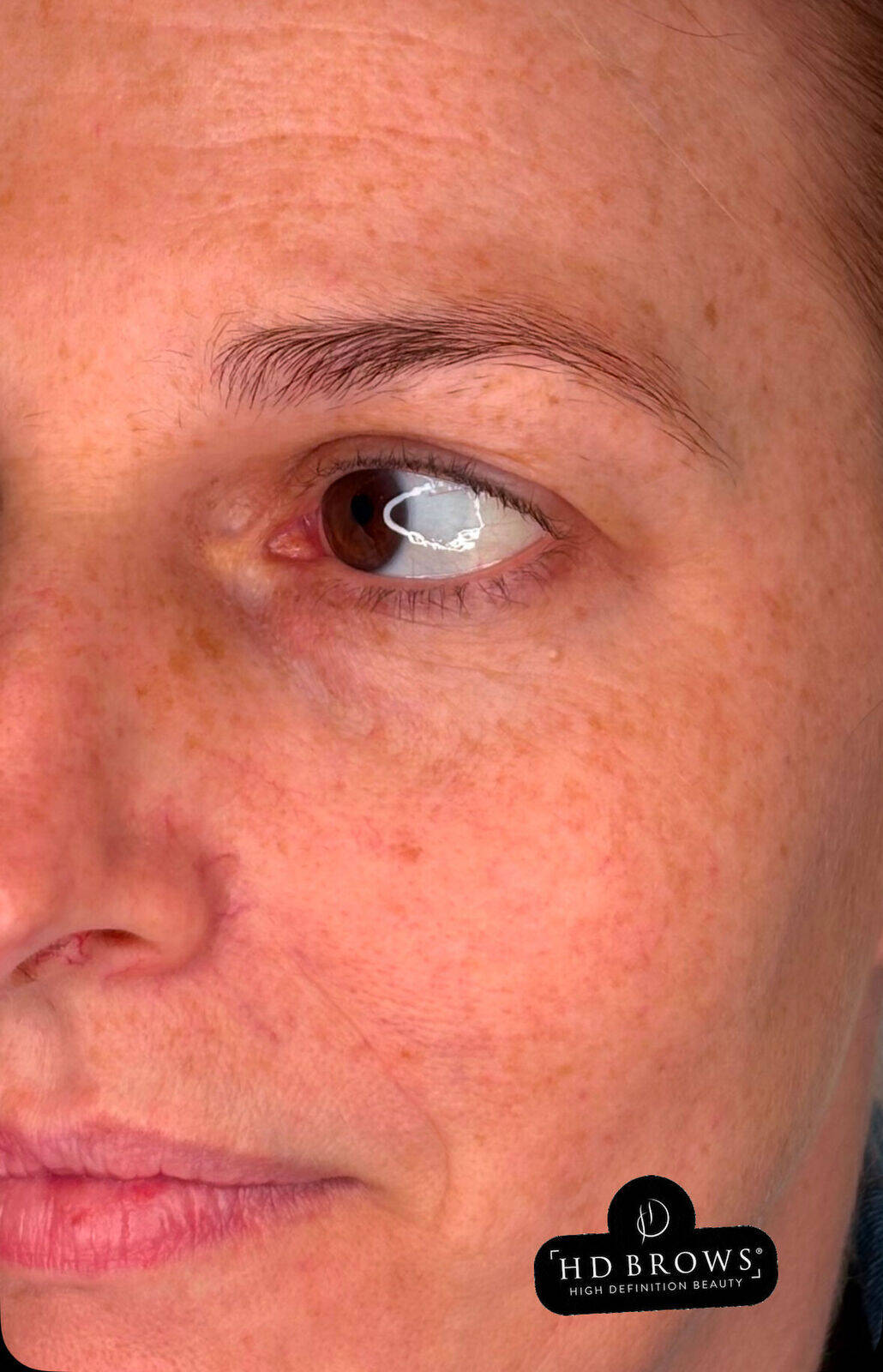 Before HD Brow and Sculpt