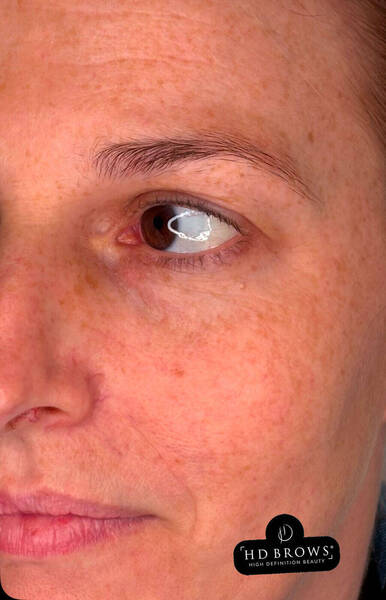 Before HD Brow and Sculpt