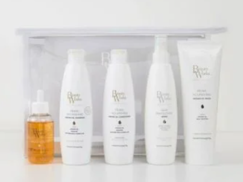 Argan Moisture Repair Kit