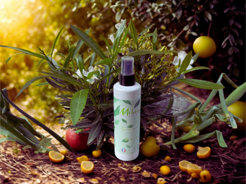 Spray coiffant Mélinea