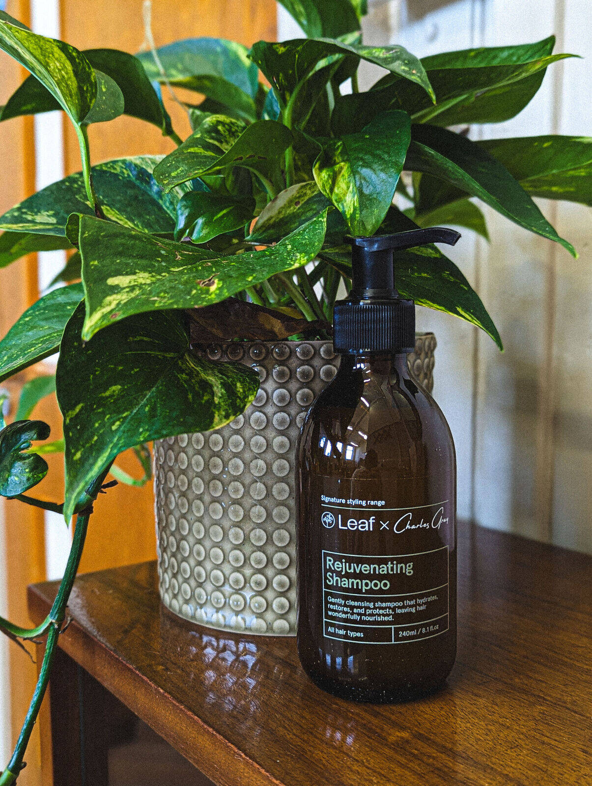 Rejuvenating Shampoo