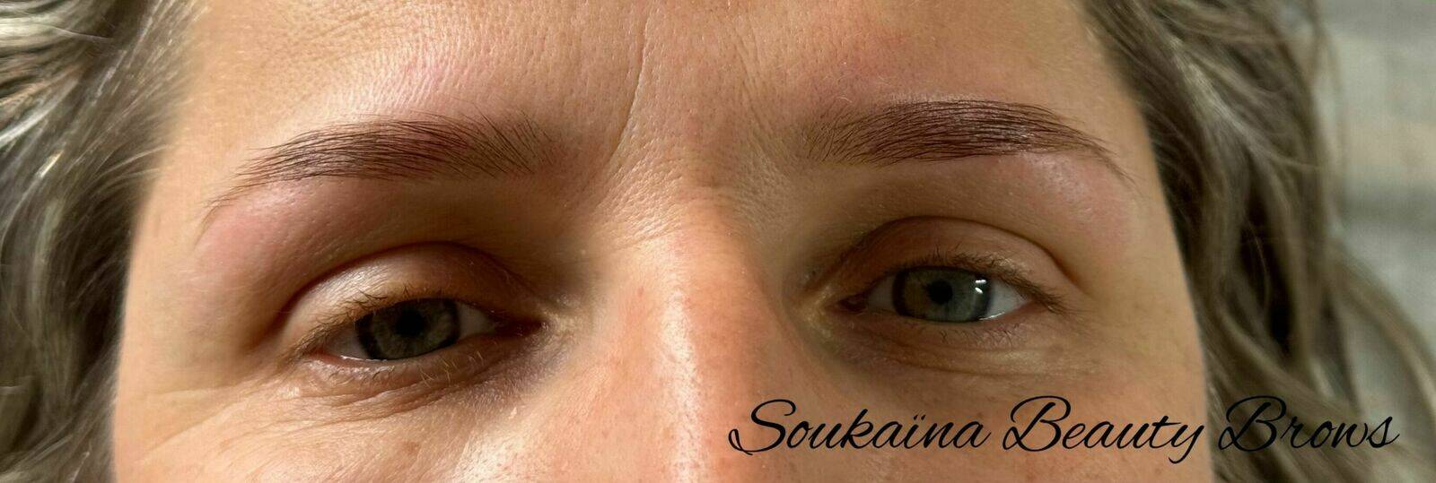 Restructuration Sourcils & teinture au Henné 