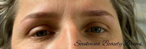 Restructuration Sourcils & teinture au Henné 