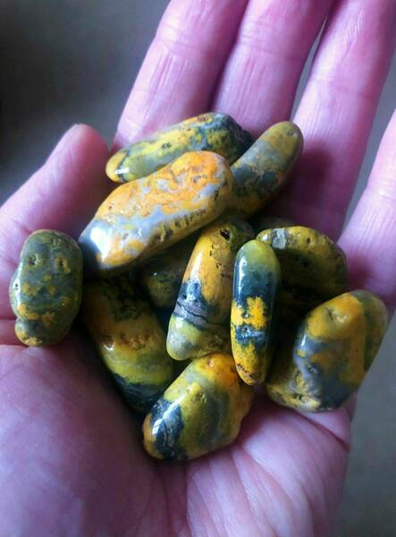 Bumblebee Jasper tumblestones