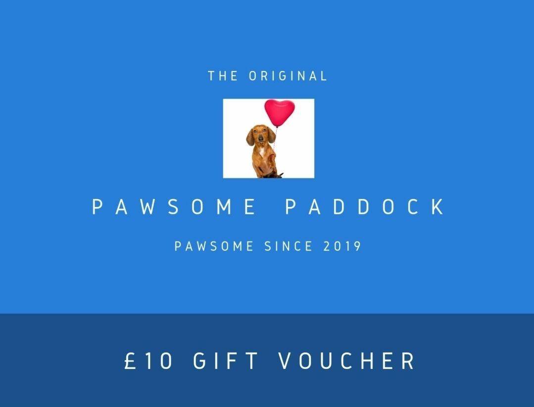 Pawsome Present - 1-4 Dogs