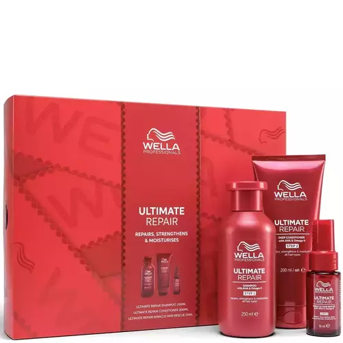 Ultimate repair Christmas set 