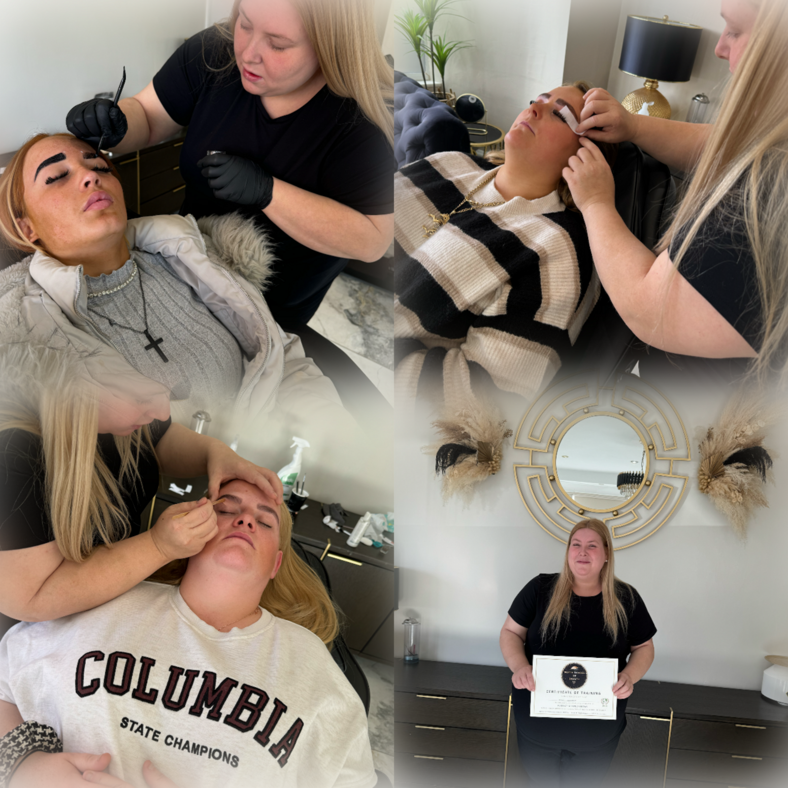 Brow lamination course 