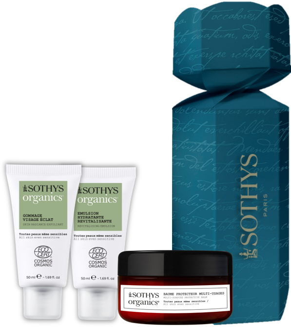 404017 - CRACKER SOTHYS ORGANICS