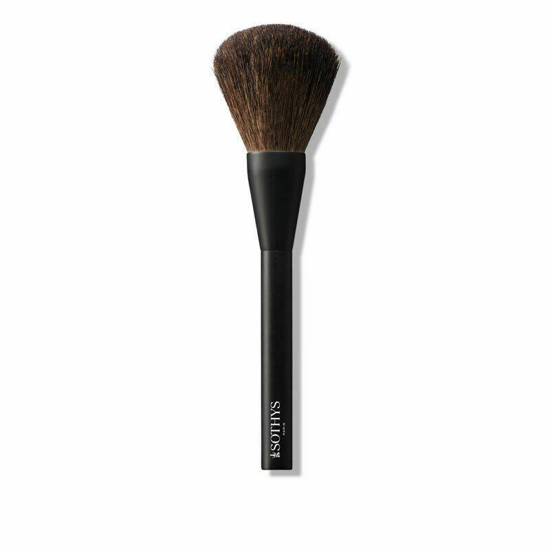 PINCEAU POUDRE MAQUILLAGE REF 18342
