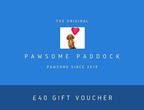 Pawsome Present
