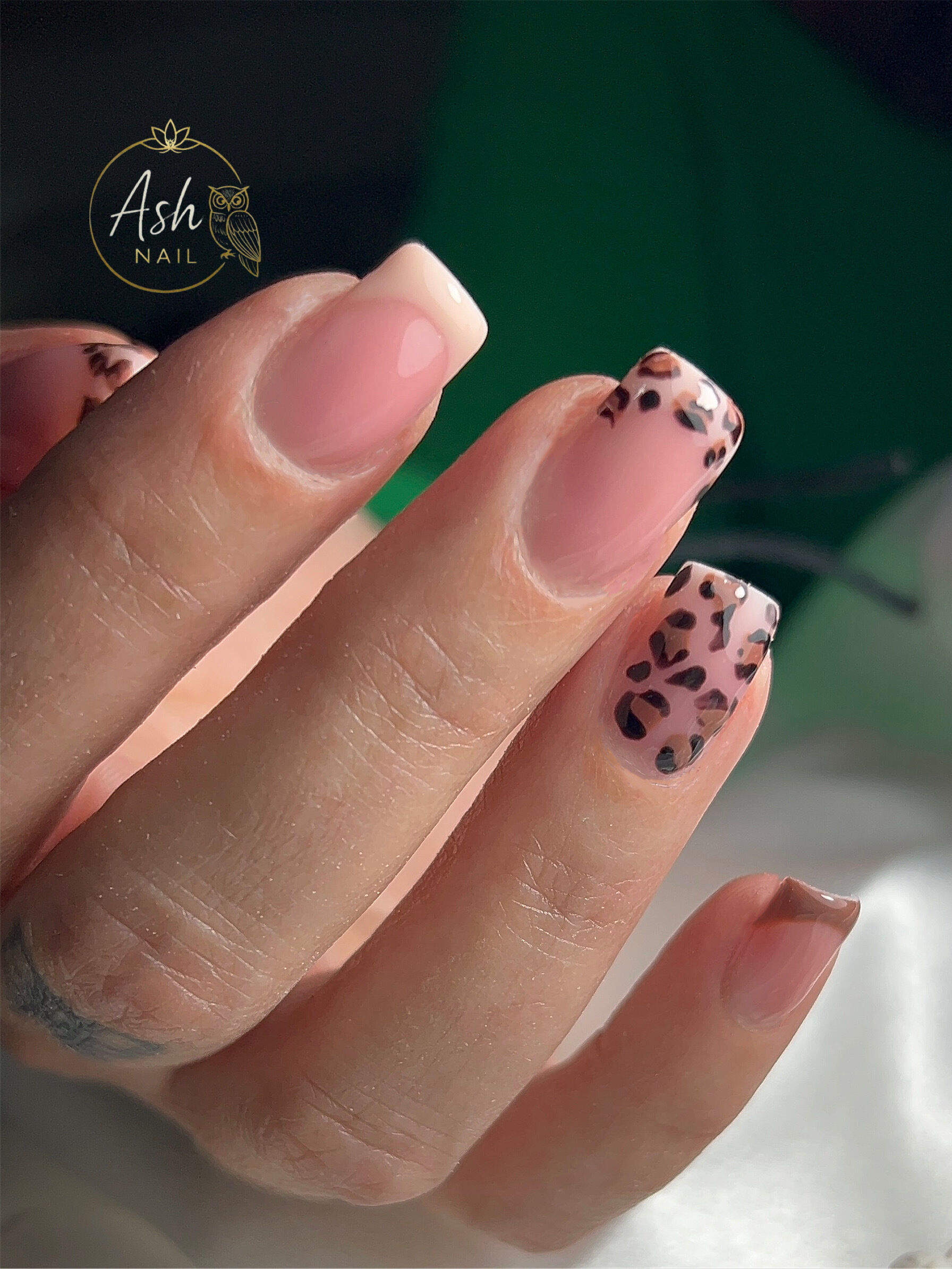 French couleur + design 10€