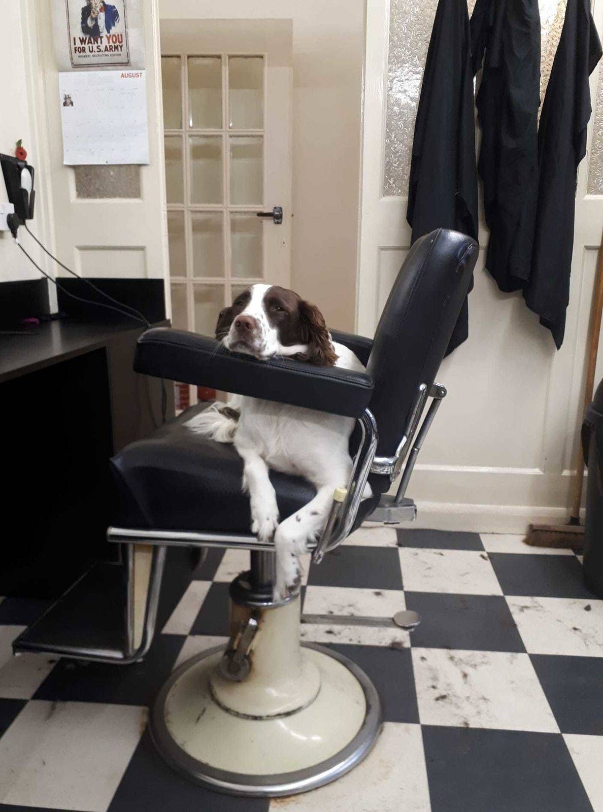 It's been a long day for this little fur baby