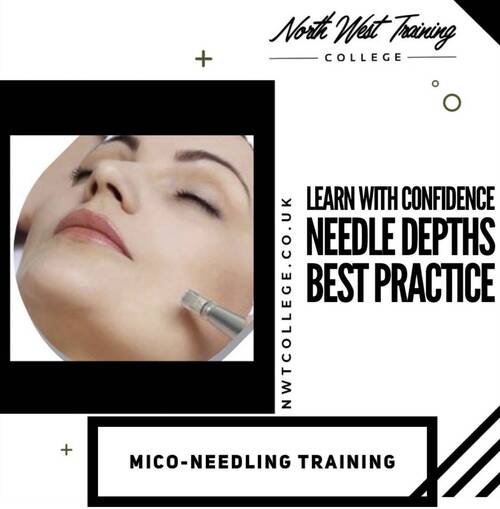 Accredited Microneedling £200 19th febuary 3pm start , deposit 