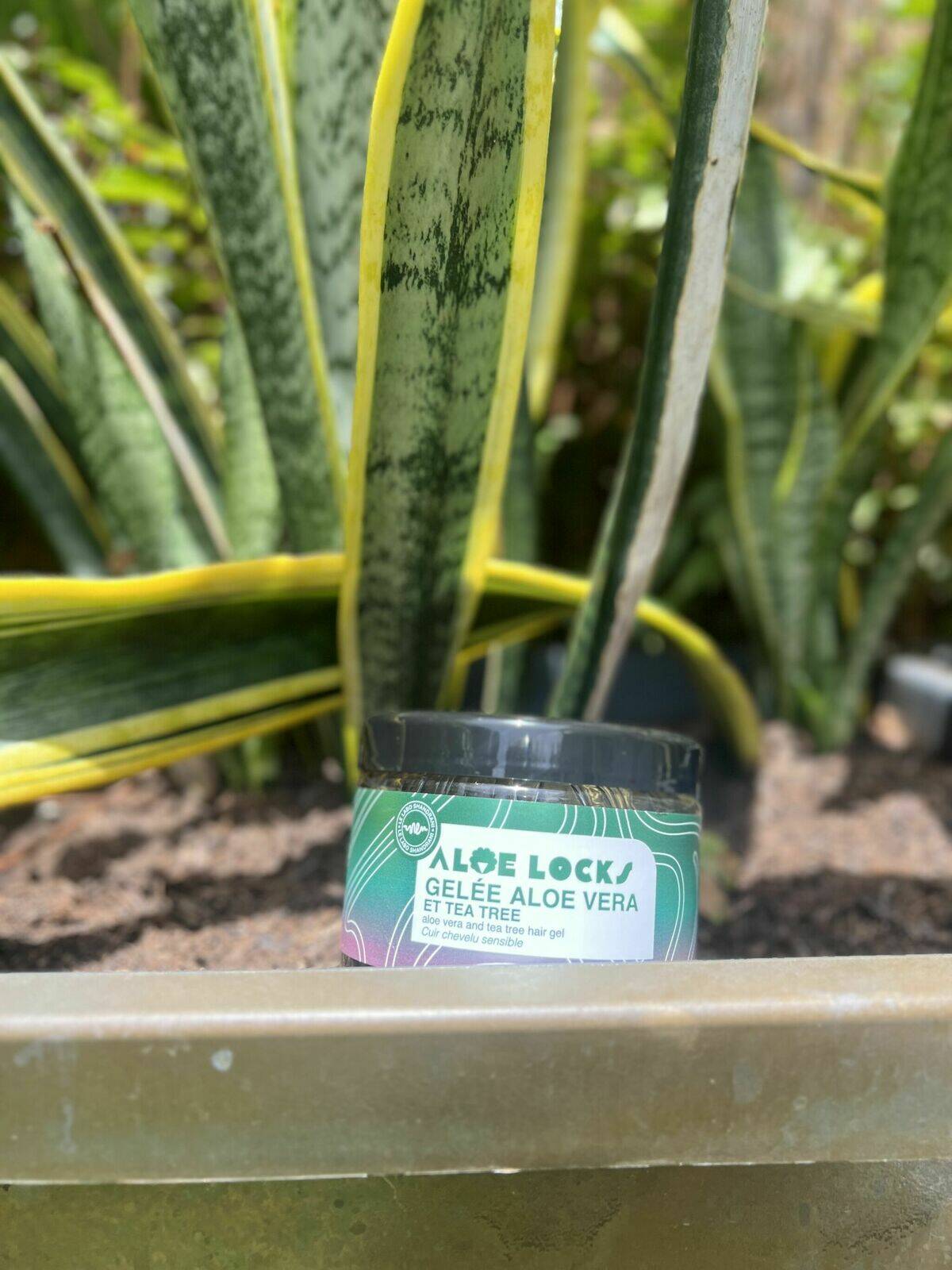 Gelée Aloé Véra &Tea Tree- ALOE LOCKS