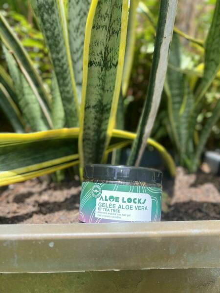 Gelée Aloé Véra &Tea Tree- ALOE LOCKS