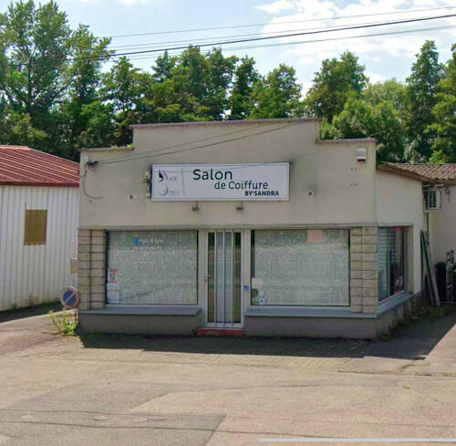 Hair style by Sandra.   (mon studio végétal) 