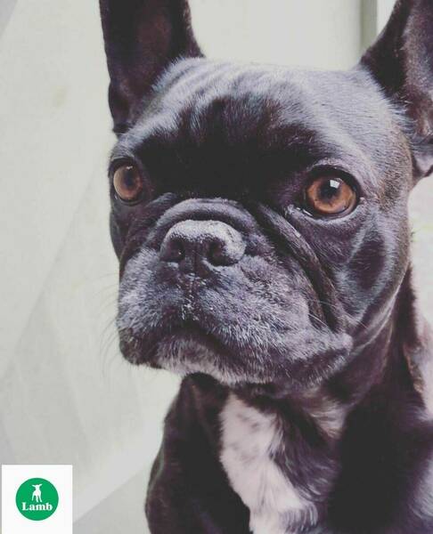  Eric  Being Offered New Position, House Manager