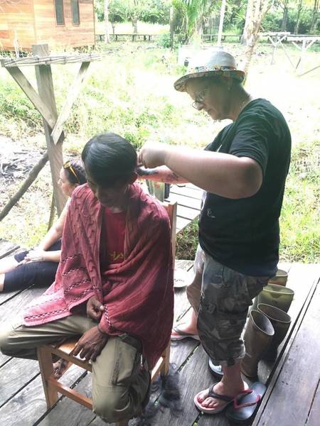 Still cutting in the rainforest of Borneo 