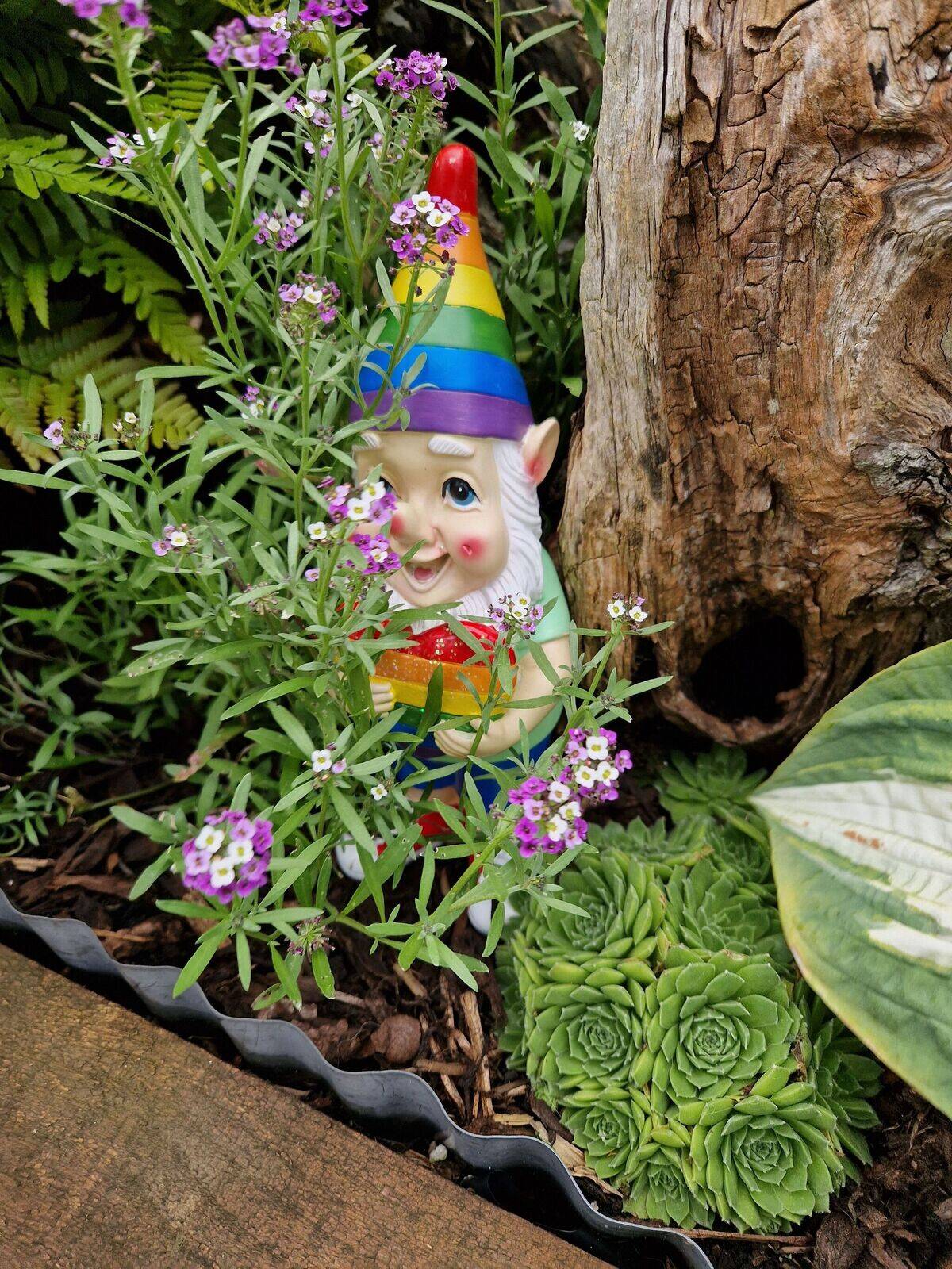 Dragonfly Headquarters 