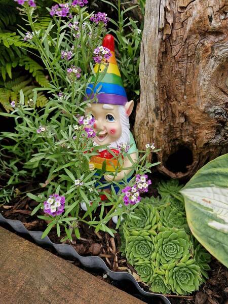 Dragonfly Headquarters 