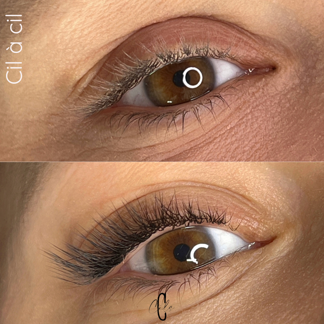 Cil à cil effet fox 