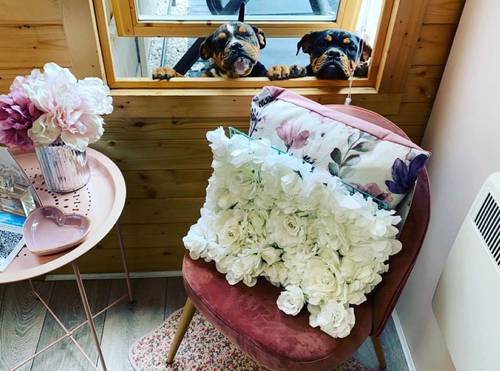 Margo & Dotty saying hello !