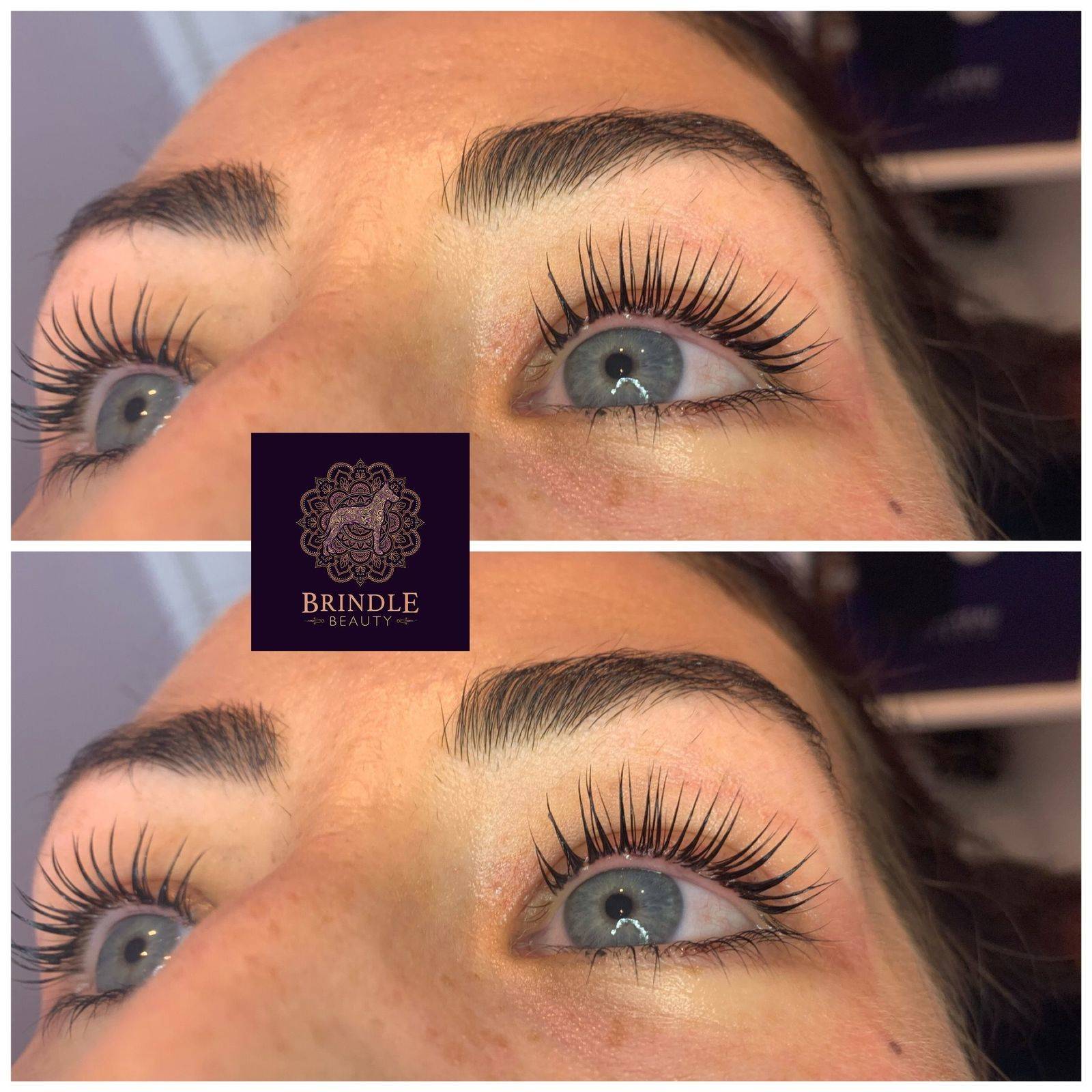 LVL Lash Lift and Tint 