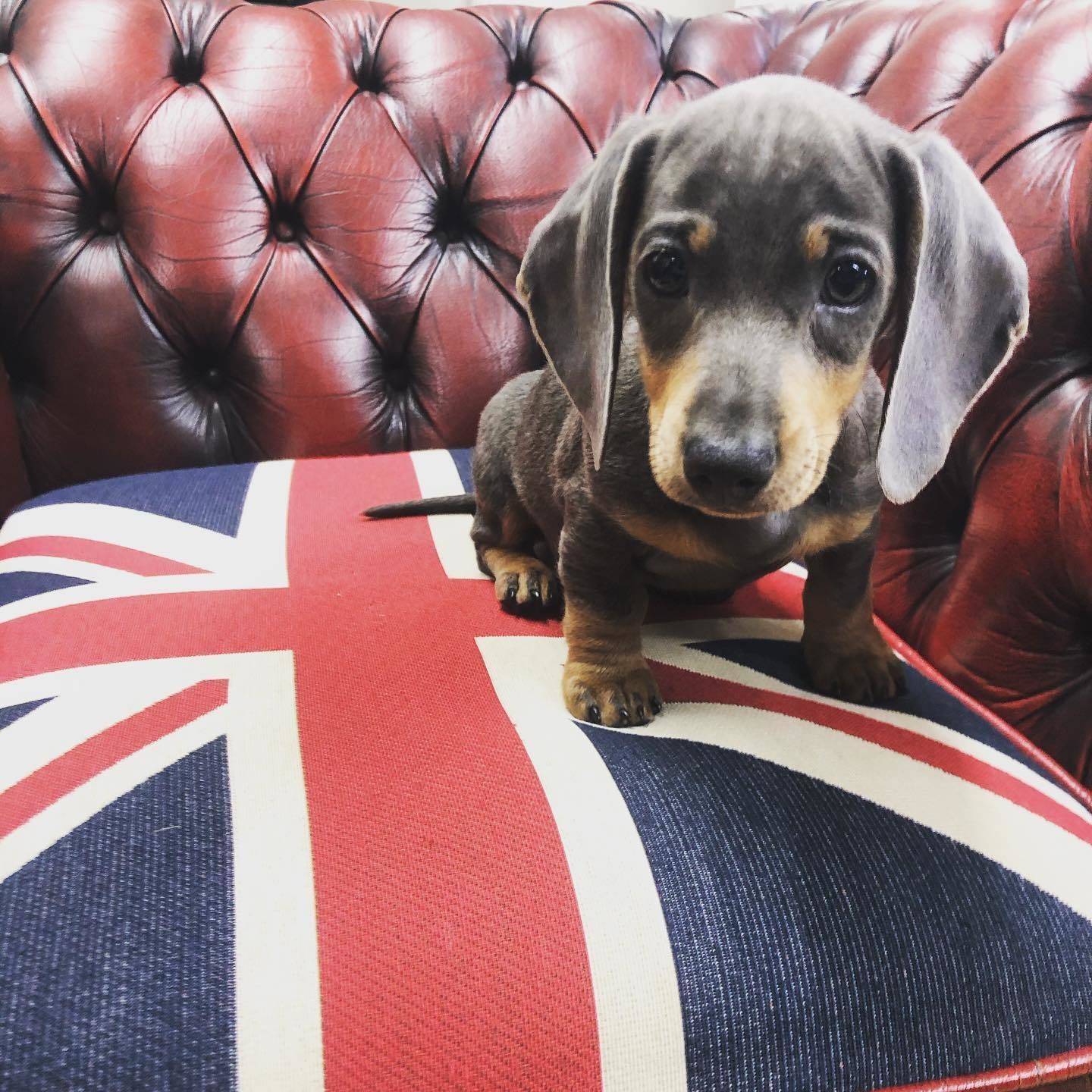 Look at our gorgeous visitor today 