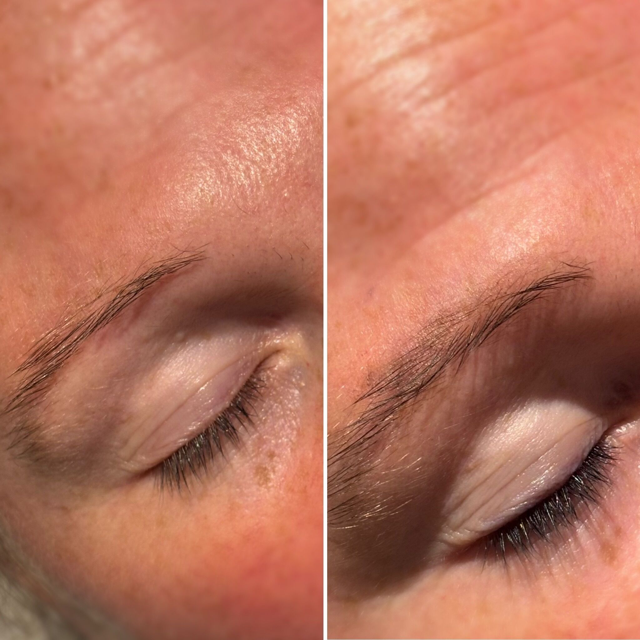 Eyelash/Eyebrow Tint