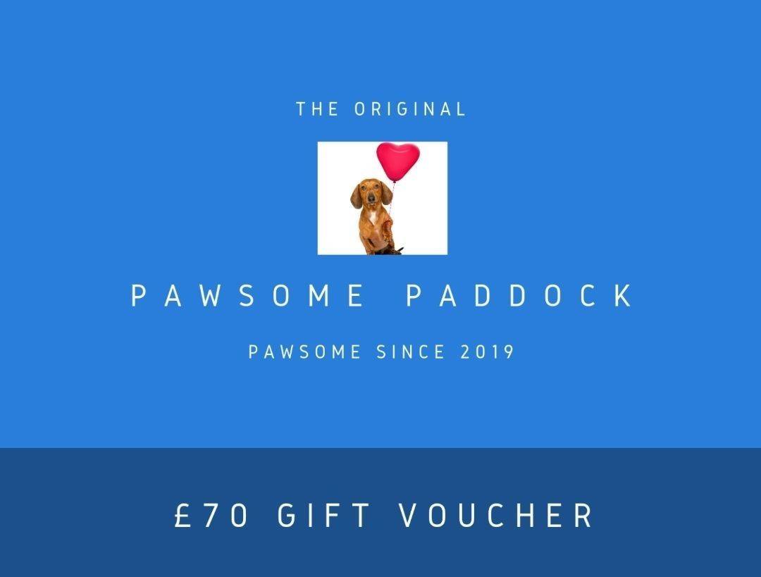 Pawsome Present