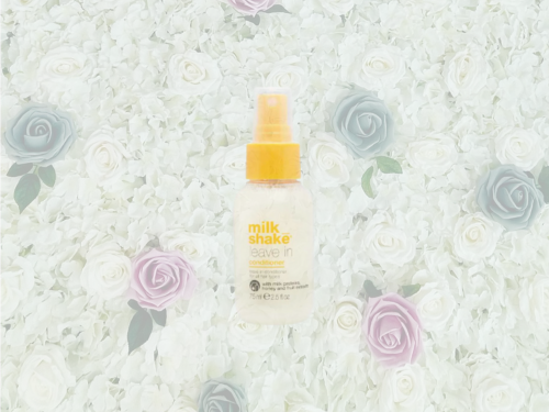 Leave In Conditioner Travel Size