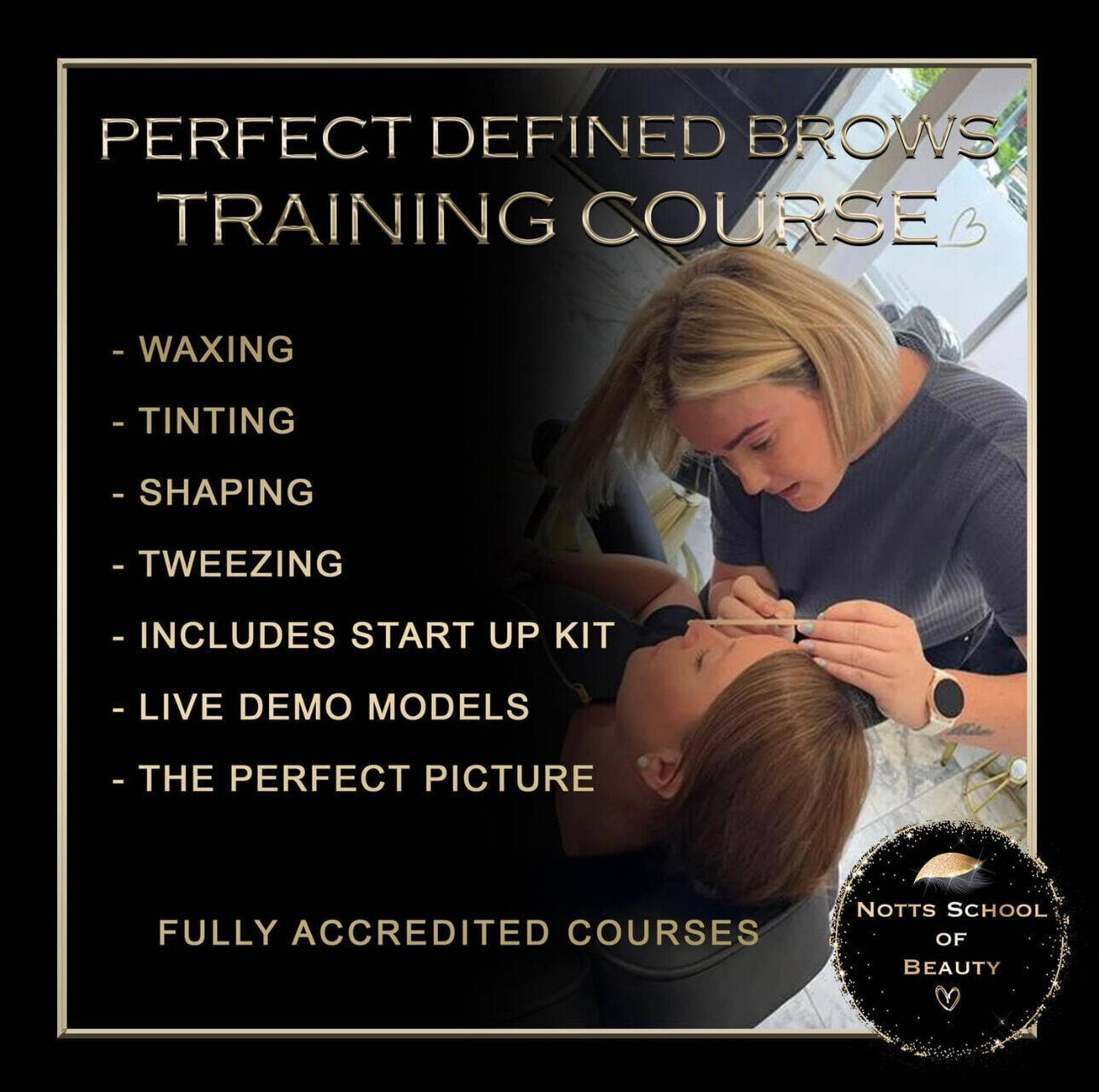 Basic brow waxing & HD brow course 