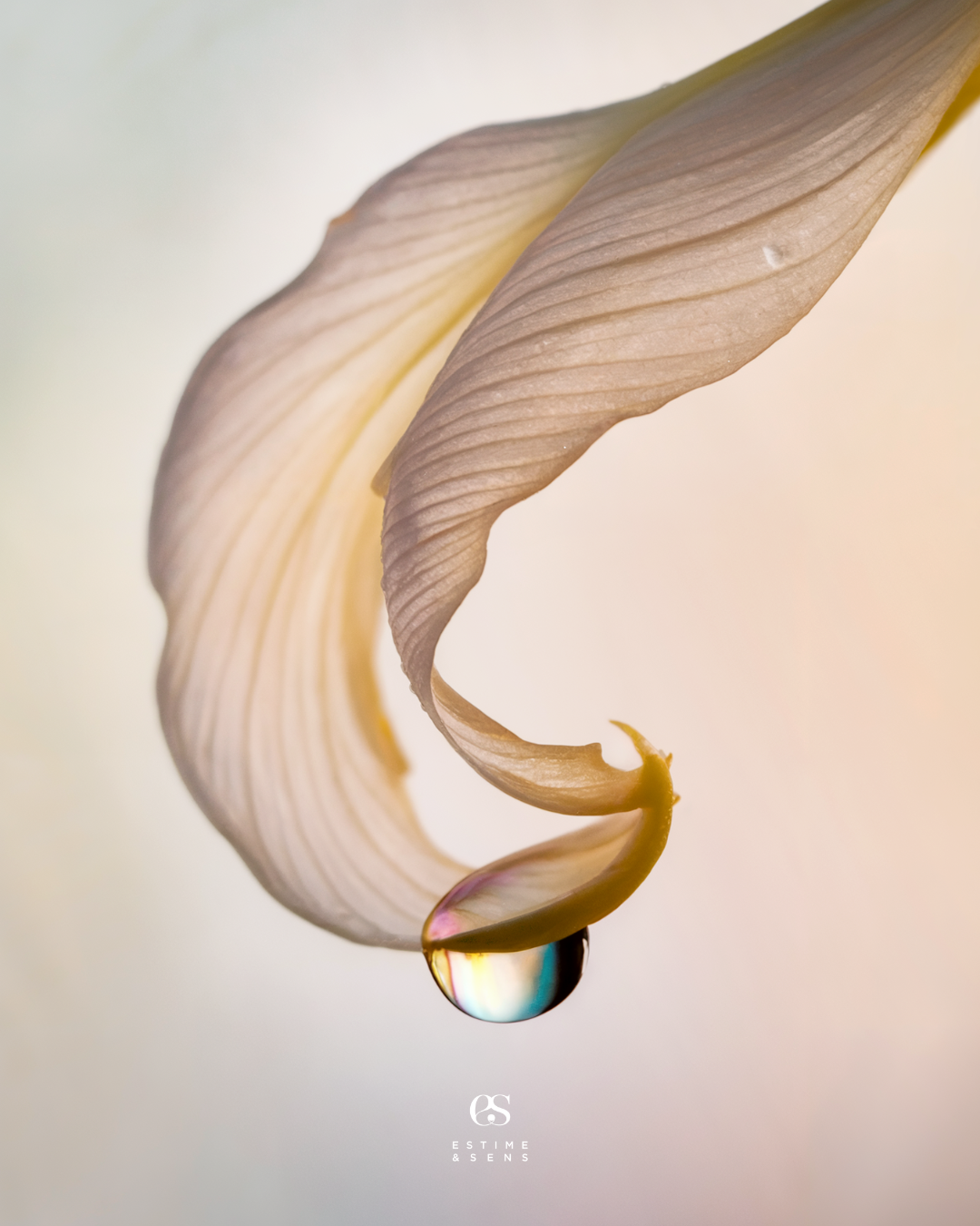  SOIN VISAGE BEAUTÉ 45 min