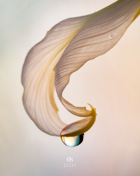  SOIN VISAGE BEAUTÉ 45 min