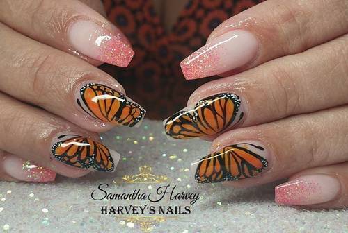 Ombre with hand painted Butterfly's 