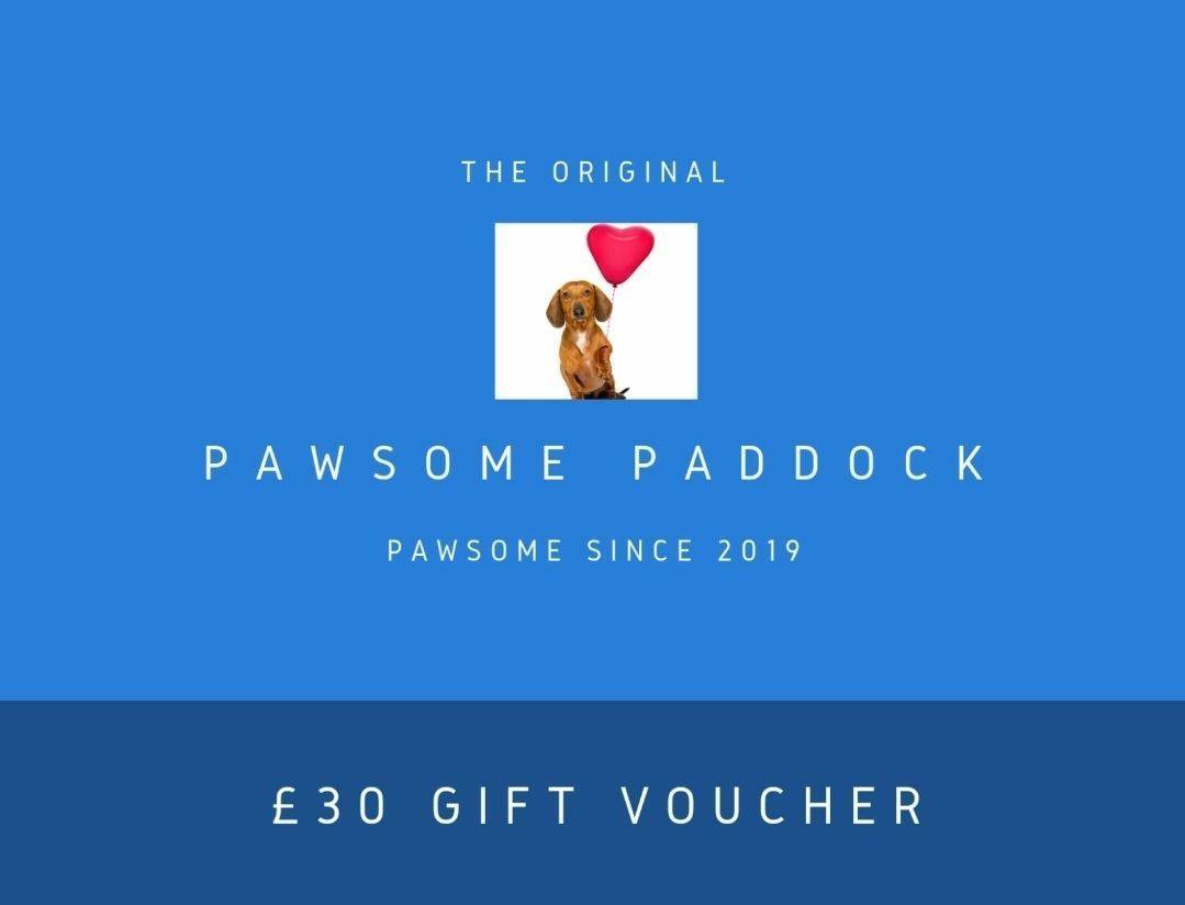 Pawsome Present 