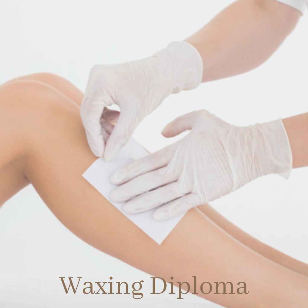 Waxing Course & Kit