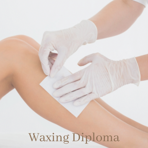 Waxing Course & Kit