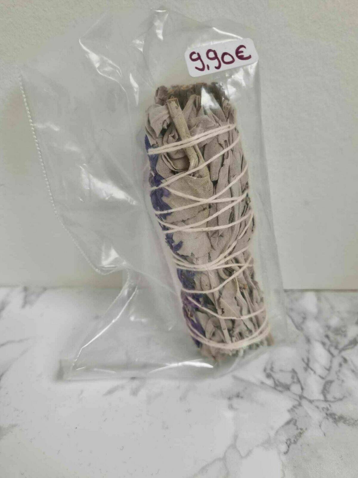 Purple daze Sauge 10 cm 