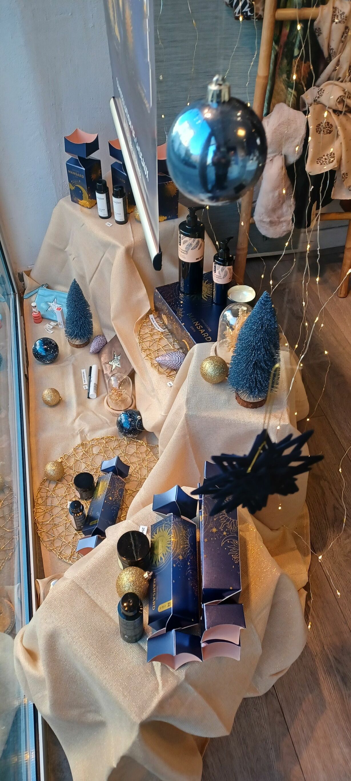Vitrine Noël 2024