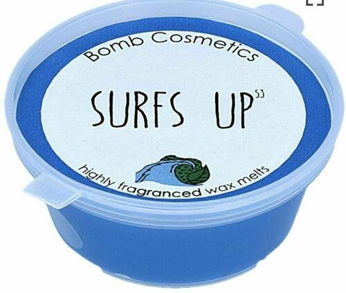 Surfs Up Wax Melt
