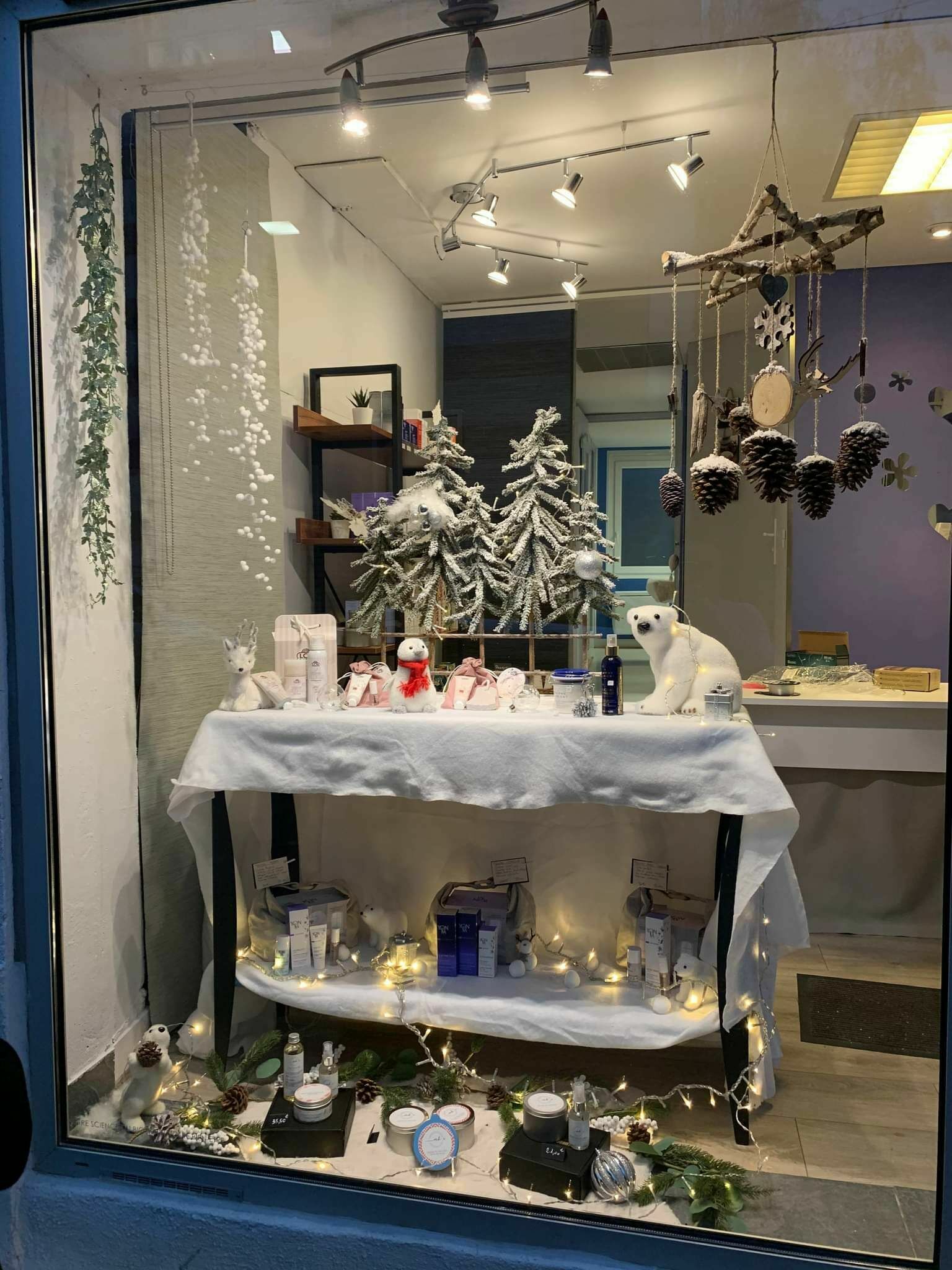 Vitrine Noël 