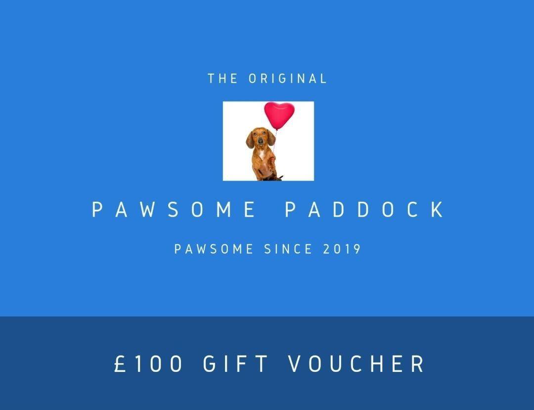 Pawsome Present